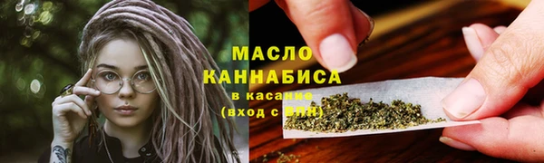 дмт Тавда