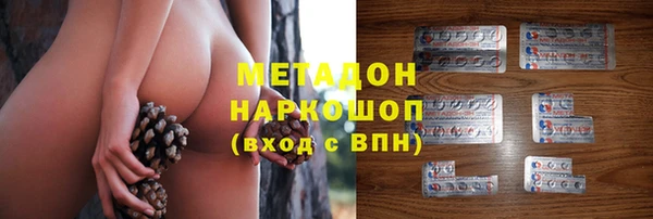 дмт Тавда