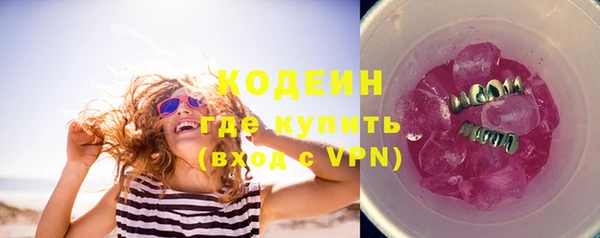 дмт Тавда