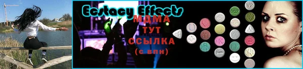 дмт Тавда