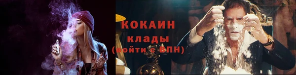 дмт Тавда
