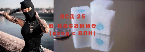 дмт Тавда