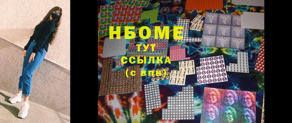 дмт Тавда