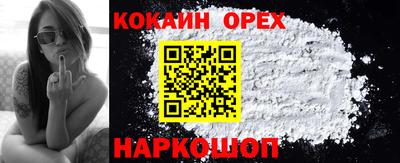 стаф Гай