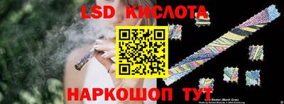 стаф Гай