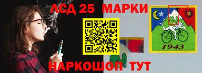 гидропоника Гатчина
