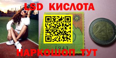 стаф Гай