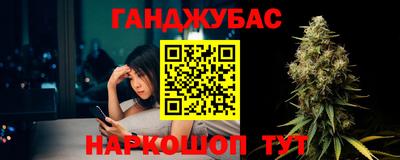 стаф Гай