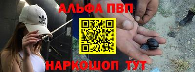 стаф Гай