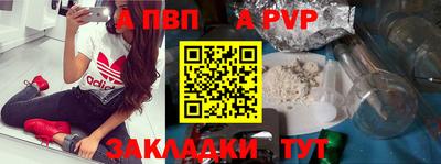 стаф Гай