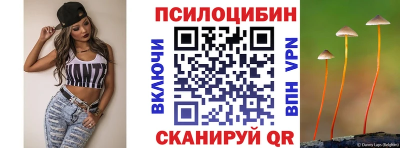 Галлюциногенные грибы Psilocybine cubensis  закладки  Татарск 