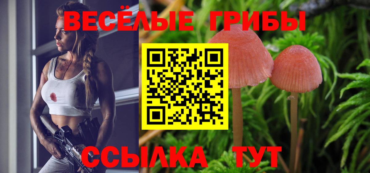 Псилоцибиновые грибы ЛСД Татарск