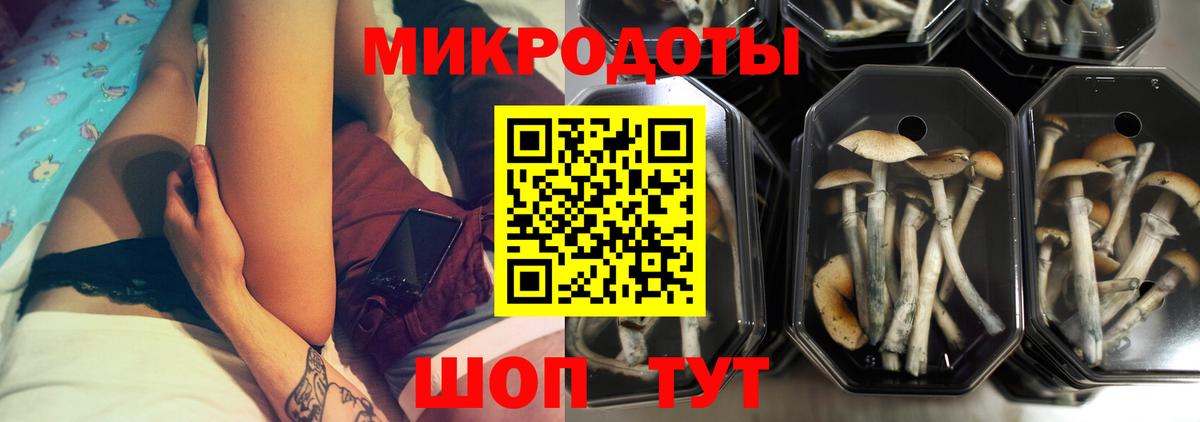 закладка  Вход с VPN  Татарск  Псилоцибиновые грибы Psilocybine cubensis 